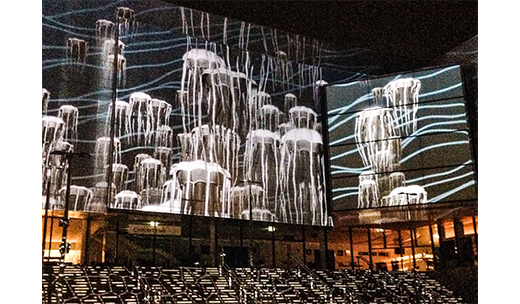 Multimedia Technology